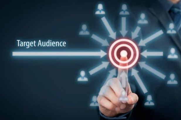 Professional digital marketers can help you identify your target audience for your website content.